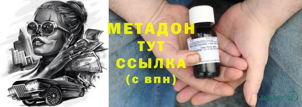 прущие грибы Аркадак