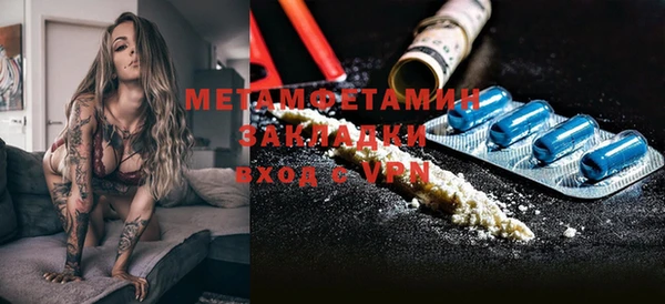 прущие грибы Аркадак