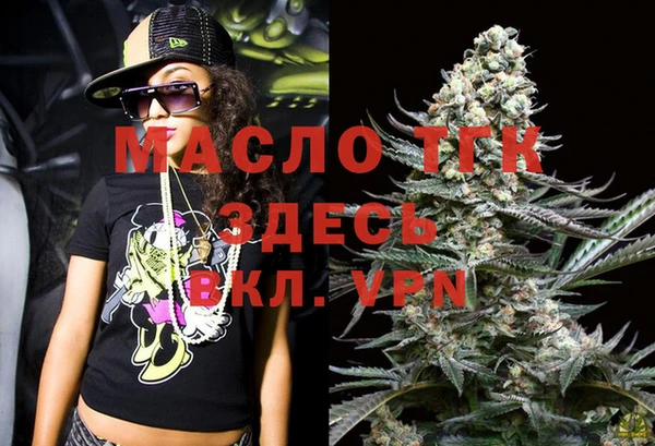 прущие грибы Аркадак