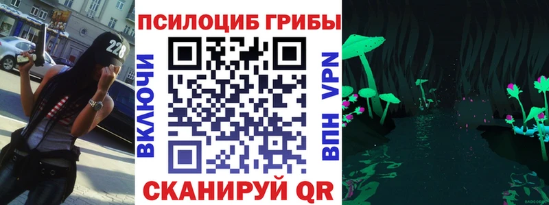 где можно купить   Армянск  OMG ссылка  Псилоцибиновые грибы ЛСД 