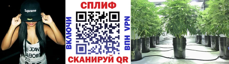 Каннабис гибрид  OMG ссылки  Армянск 